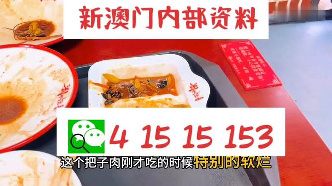 澳門王中王六碼新澳門，探索與解析，澳門王中王六碼新澳門，深度探索與解析