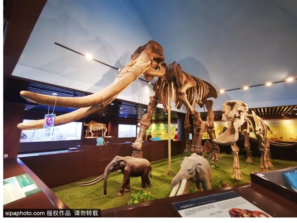 北京必去的十大博物館——探尋千年文化的精華之旅，北京必游十大博物館，千年文化精華之旅探尋記